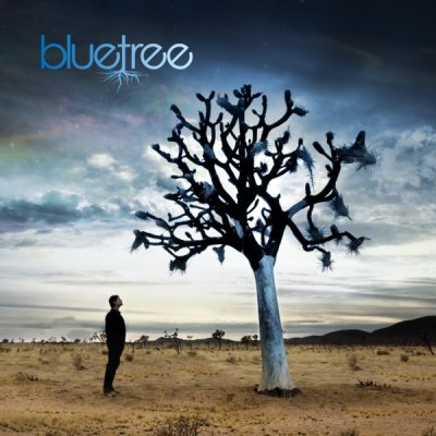 Bluetree, God Of This City | Experiencing Worship